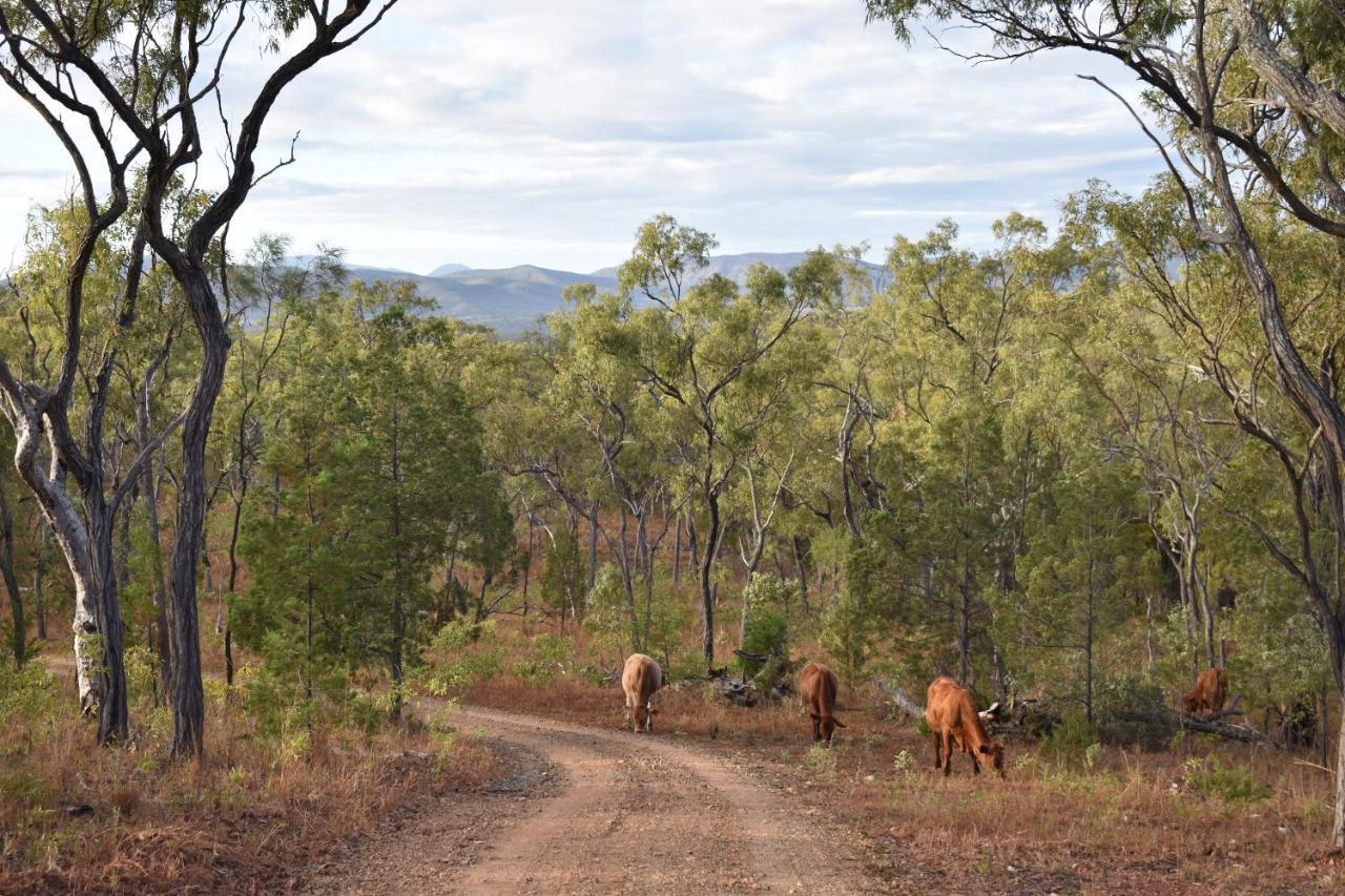 Dimbulah Ironbark Houseヴィラ エクステリア 写真