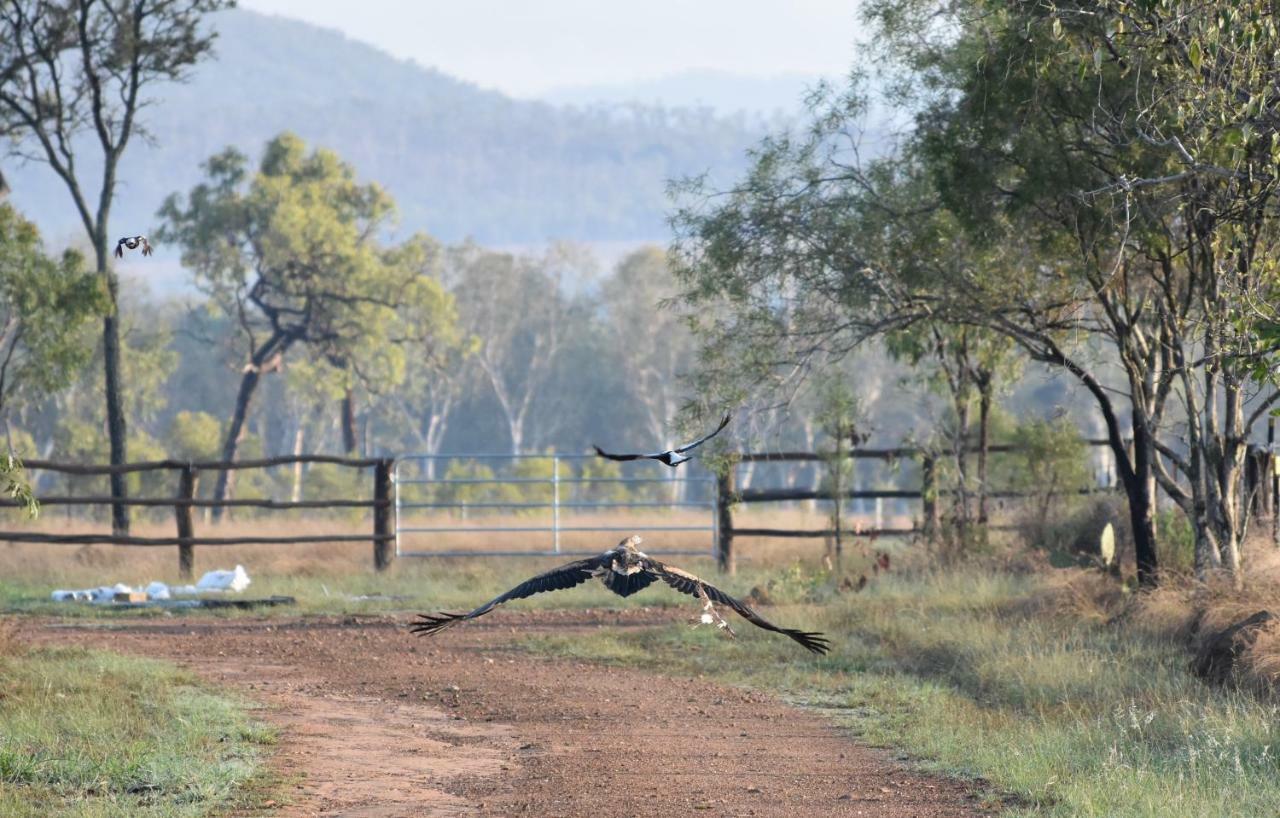 Dimbulah Ironbark Houseヴィラ エクステリア 写真