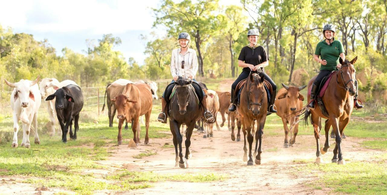 Dimbulah Ironbark Houseヴィラ エクステリア 写真